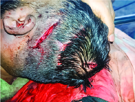 Image of  মো: সেলিম হোসেন